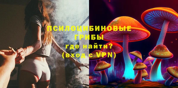 прущие крисы Алексин