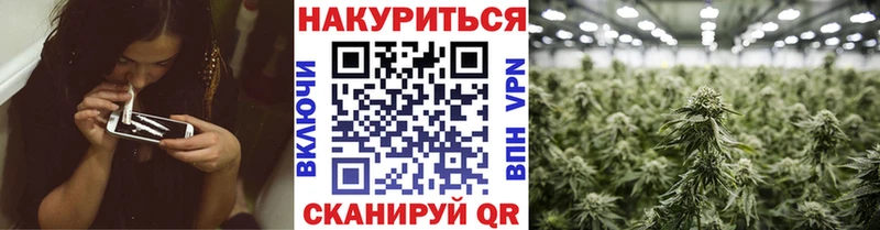Каннабис Ganja Советская Гавань